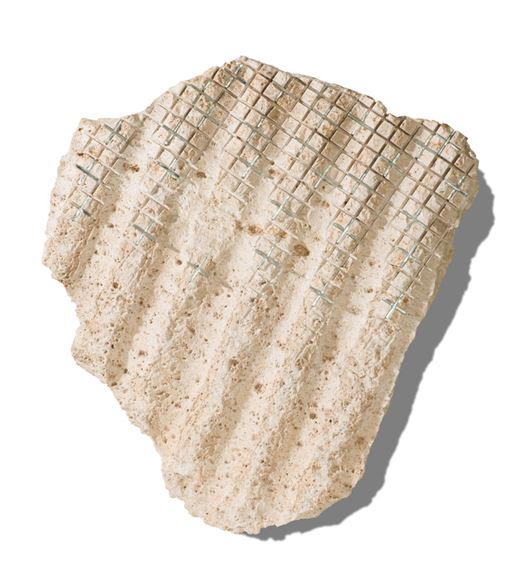 Untitled - Otto Rigan