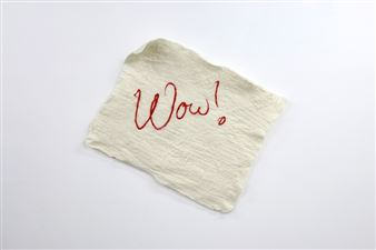 Yasuko Watanabe: WOW! Signal - Gallery Side 2