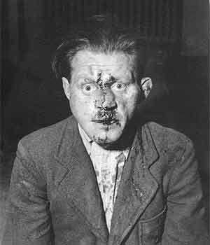 From Stock - Cokkie Snoei