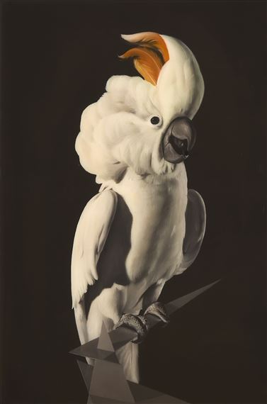Cockatoo with Probabilty Diagram by Sam Leach