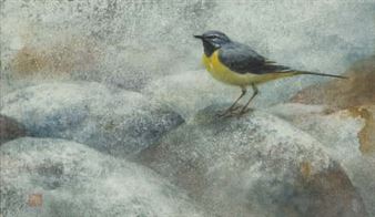 Gray wagtail - Kazuya Ogawa