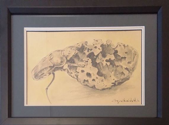 DUNG BEETLE by Stanislaw Szukalski