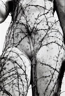 Caught in a Snare - Vilém Reichmann