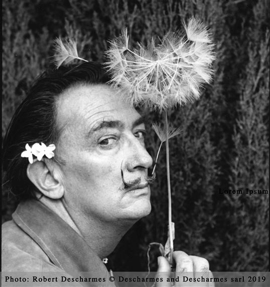 Salvador Dali & the Permanent Collection - Cha Cha