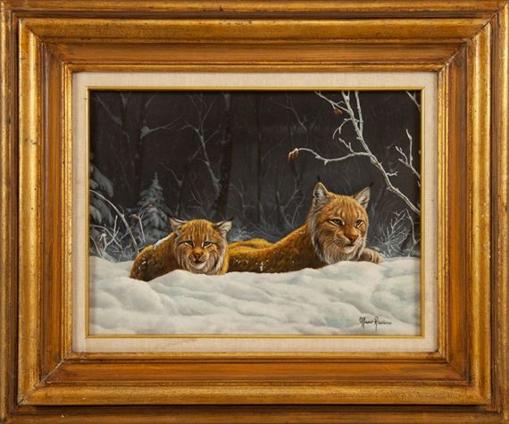 Il Riposo, linci nella neve by Marco Ramasso