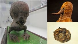 Museums Worldwide Post the Creepiest Objects in Their Collections