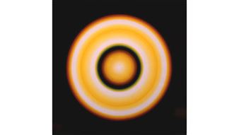 Optical Impact - HoMA, Honolulu Museum of Art