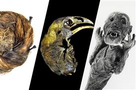 World's Museums Share 'Creepiest Objects' Online. Good Luck Sleeping