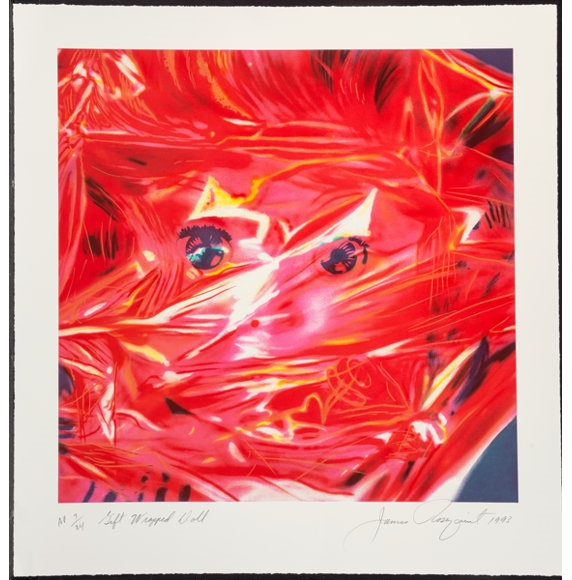 Rosenquist James Gift Wrapped Doll (1993) MutualArt