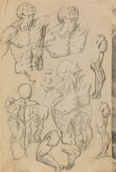Sheet of Anatomical Studies by Bartholomeus Spranger