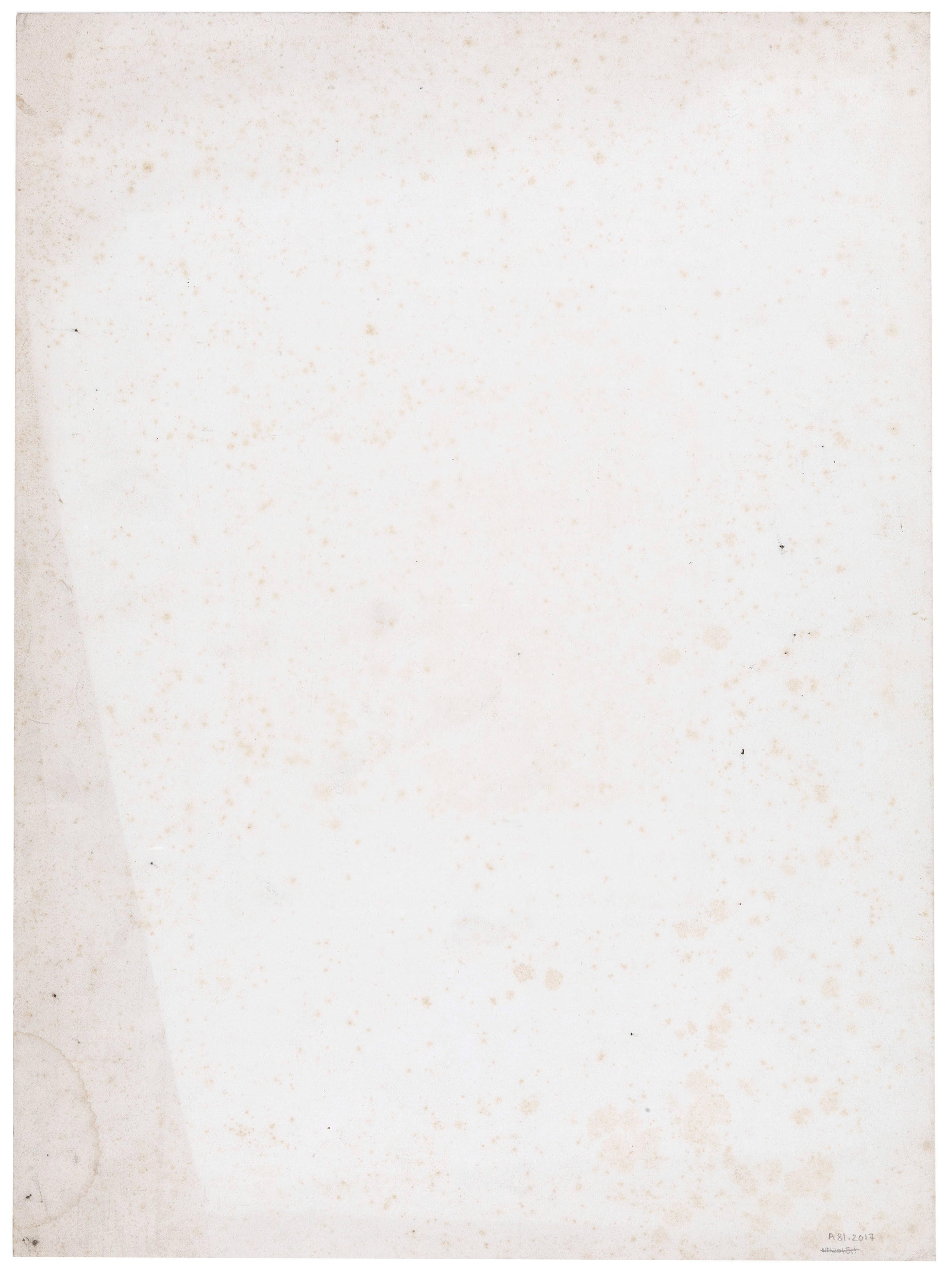 Artwork by Niépce De Saint-victor, Mayer Frères, Untitled portrait (Man with arm in vest), early 1850s, Made of photogravure, mounted on paper