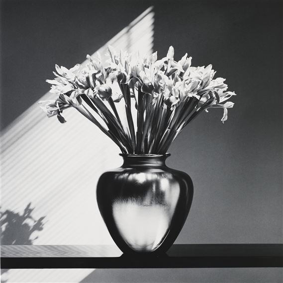 Irises, 1986 by Robert Mapplethorpe, 1986