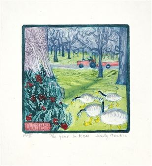 The Year in Kew - Sally Hunkin