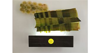 Fiore Residents Virtual Exhibit & Artist Talks at MFT Gallery