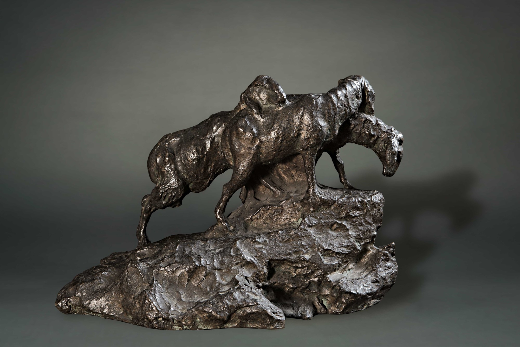 Guido Righetti | Pecore sul monte | MutualArt