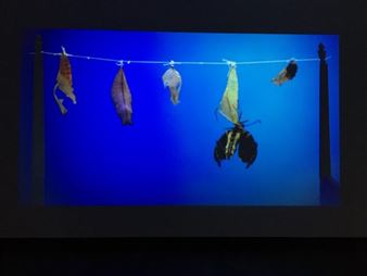 A Texas Hurricane, and Virginia Lee Montgomery’s Sky Loop at Lawndale