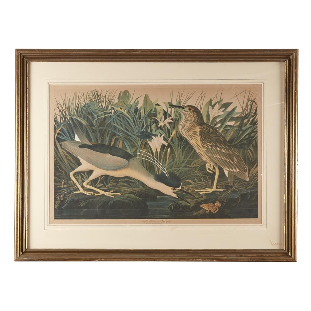Night Heron or Qua Bird by John James Audubon, Julius Bien, 1860