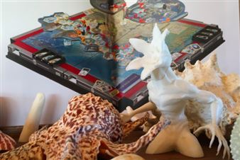 From Tokyo to Tutukaka