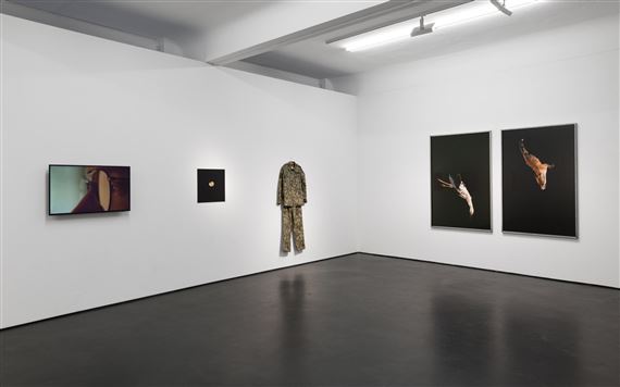 ONLINE: Accrochage - Alexander Levy