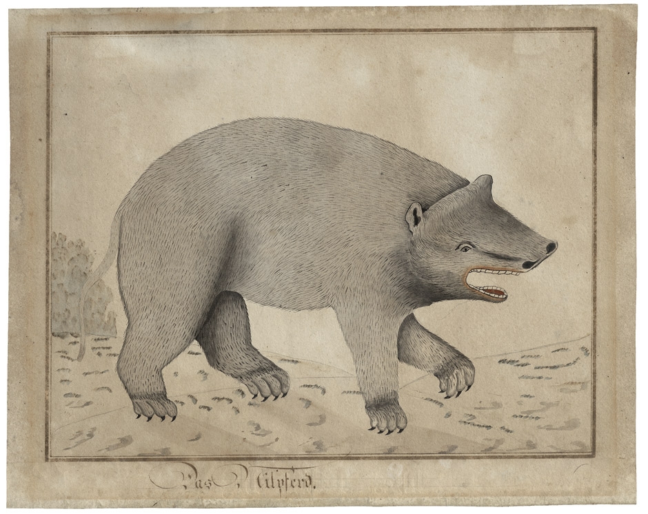 Artwork by German School, 18th Century, Das Nilpferd - Laufender Bär, Made of Watercolor on wove paper