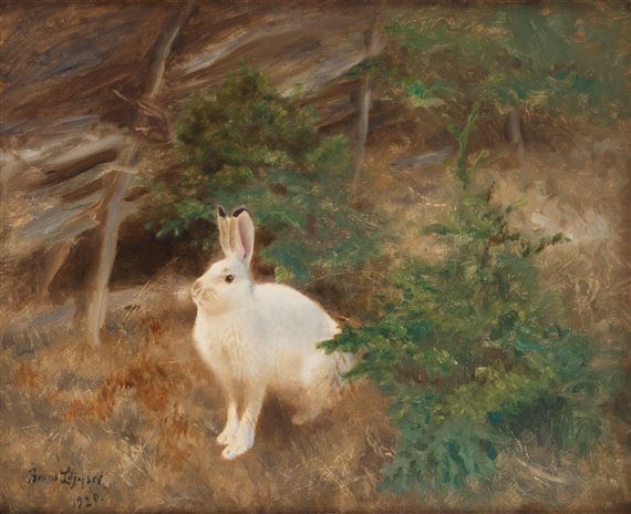 Mountain hare by Bruno Liljefors, dated 1920