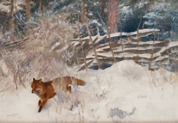 Fox in a winter landscape