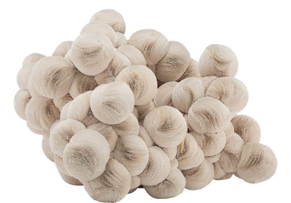 Untitled (Paper Plates) by Tara Donovan, 2005