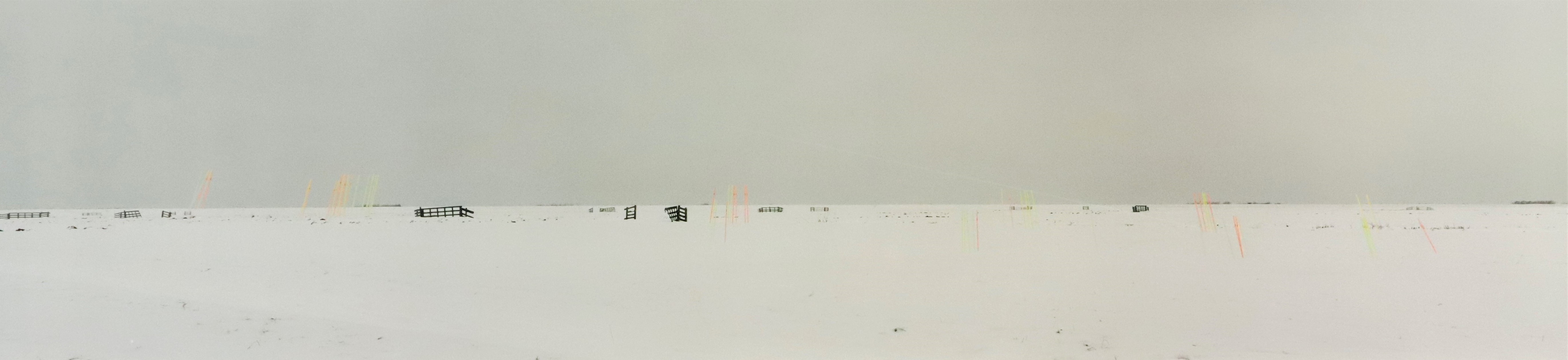 Artwork by Scarlett Hooft Graafland, Marken, Made of C-print on dibond