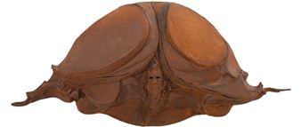 Warrior with Memories - Theodore Gall