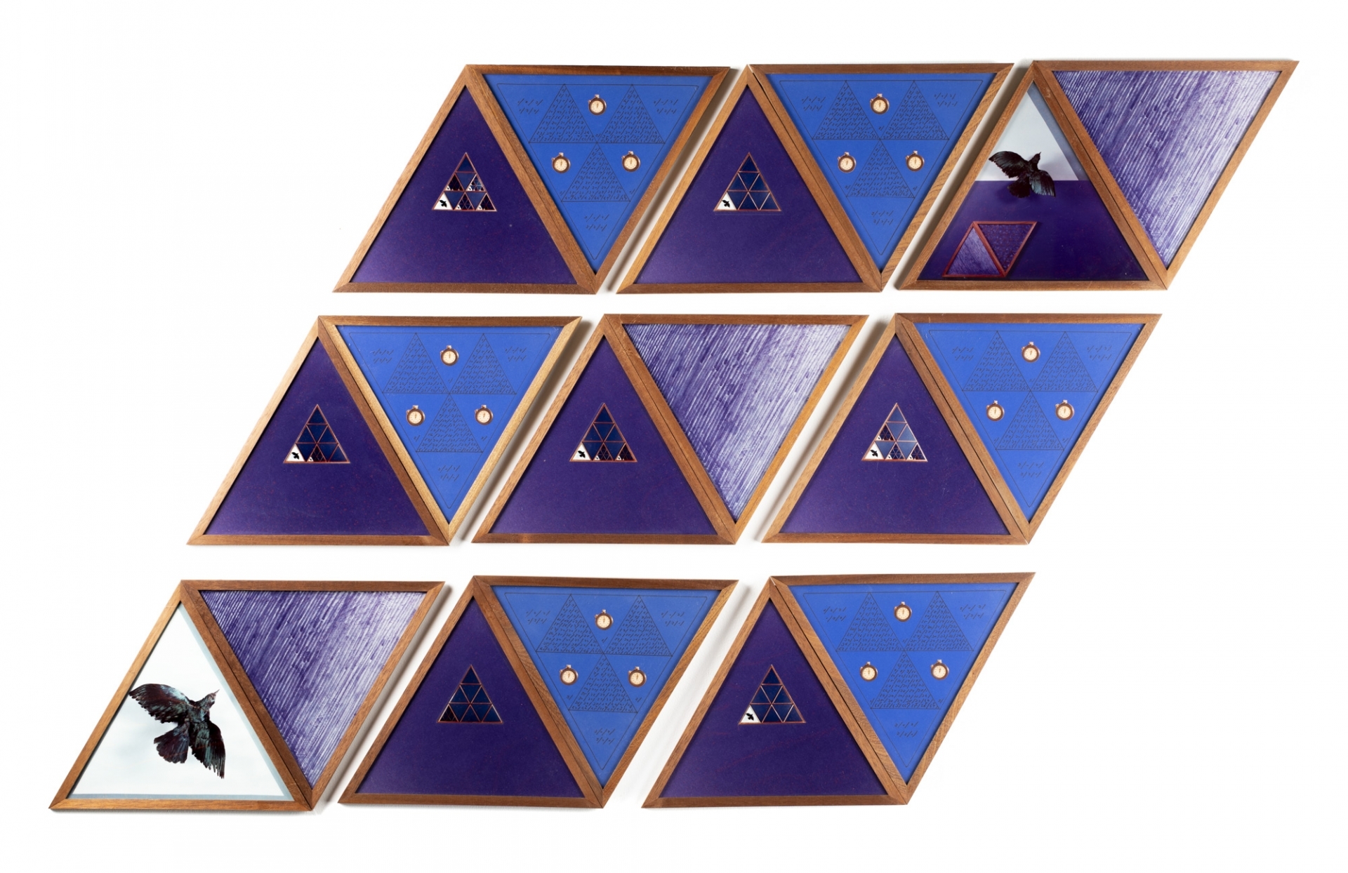 Artwork by Laura Grisi, Uccello con triangolo, Made of Mixed technique and collage of photographs on paper, 18 elements