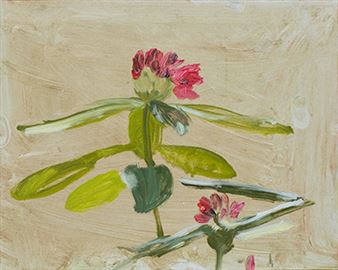 Brecht Koelman, Loic Moons and Gaëtane Verbruggen: Circuit Court - Galerie Nadja Vilenne