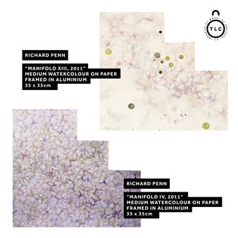 Two works: MANIFOLD IV; MANIFOLD XIII - Richard Penn