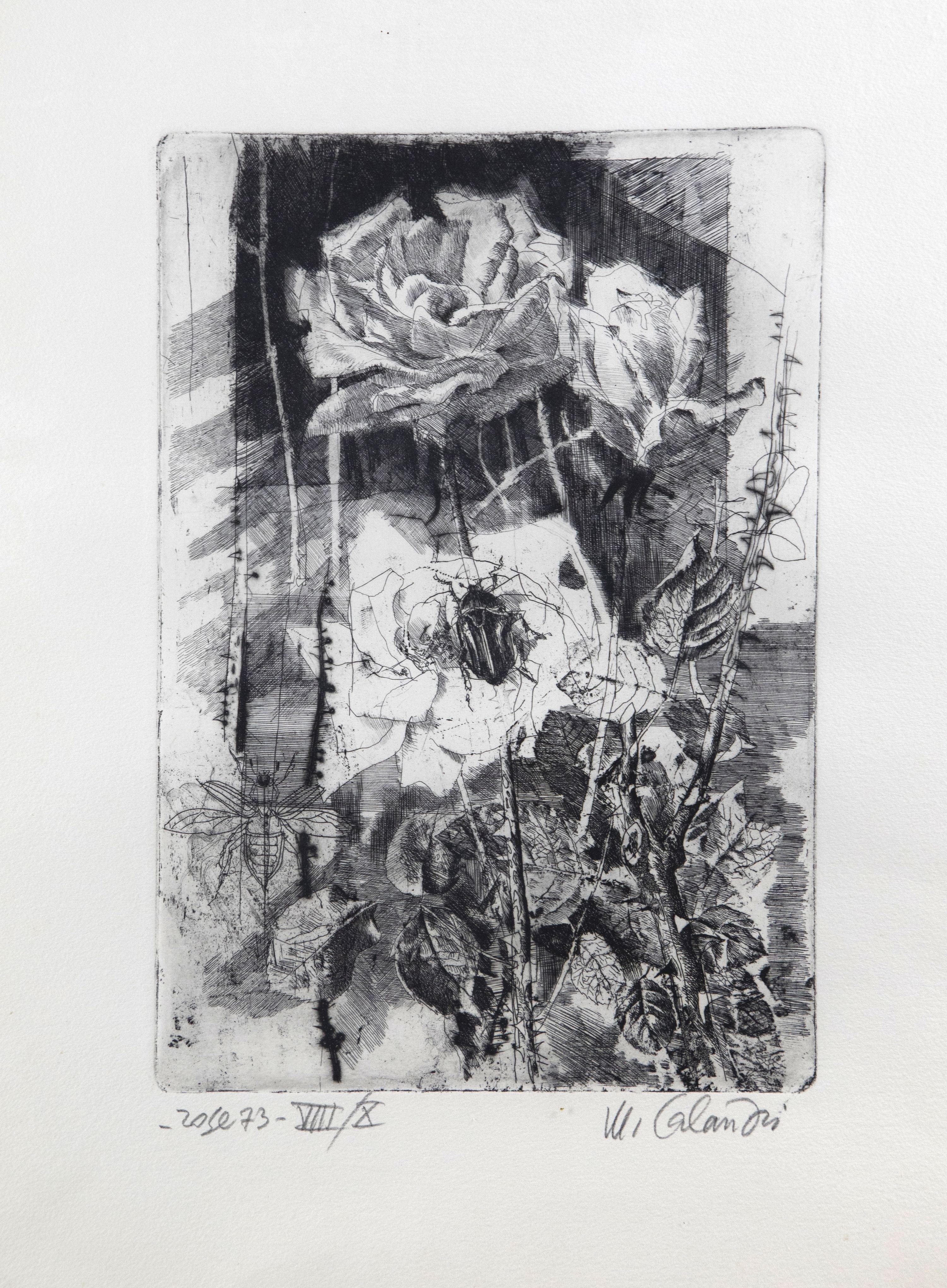 Mario Calandri | Rose (1973) | MutualArt
