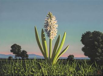 David Ligare - Winfield Gallery
