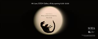 András Cséfalvay: Model For Extinction Survival: Take To The Sky - SODA Gallery of Contemporary Art