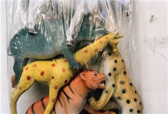 From the series "Selvatico" , "Sacco con animali" - Alessandra Spranzi