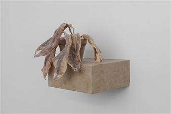 A Selection of Gallery Artists - Valerie Traan Gallery