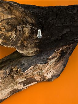 Still - Drdova Gallery