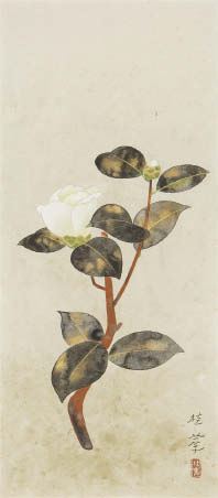 Camellias by Keika Kanashima