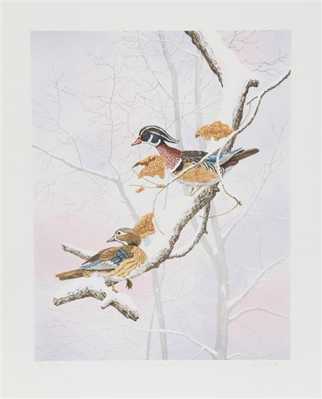Wood Ducks by Chris Forrest, 1980