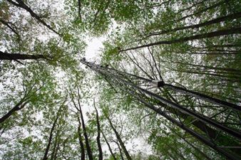 Steve Rowell: Uncanny Sensing, Remote Valleys - Jordan Schnitzer Museum of Art