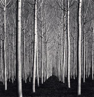 ONLINE: Michael Kenna: Odyssey - G. Gibson Gallery