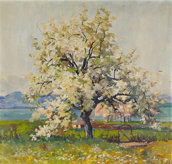 Blütenbaum bei Wasserbur am Bodensee - Franz Löffler