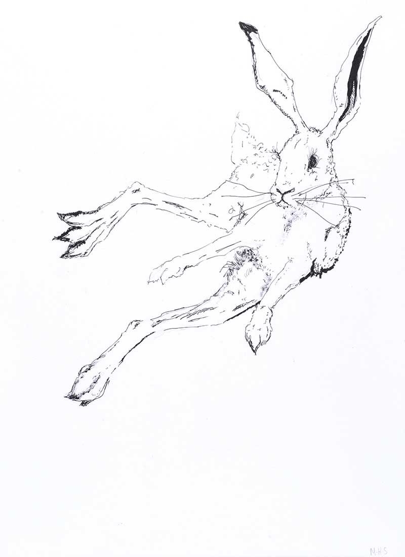 Artwork by Matthew H. Smyth, JUMPING HARE, Made of Pen & Ink Drawing