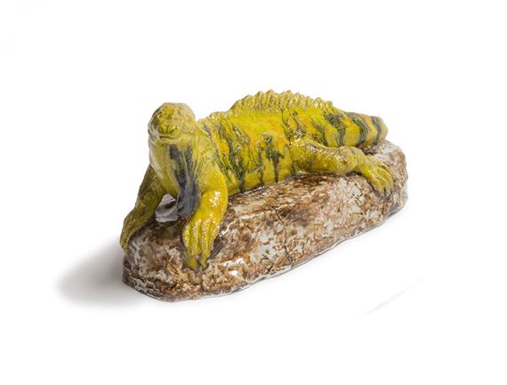 Basilisk Lizard on a rock