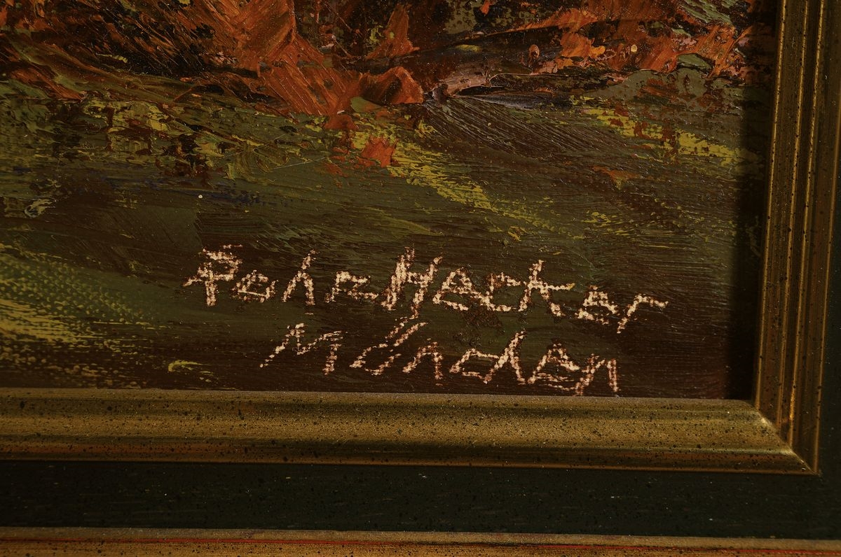 Artwork by Friederike Rohr-Hecker, Feld in Defreggertal, Made of oil/canvas