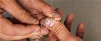 Sebura&Gartelmann: Bonded - MMoCA, Madison Museum of Contemporary Art