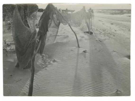 Jershöjt, mer Baltique by Raoul Hausmann, 1931