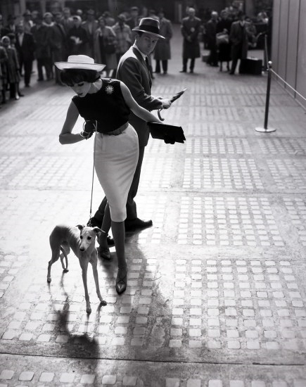 Artwork by William Helburn, Simone D'Aillencourt with Whippet, Penn Station, Made of Gelatin silver print