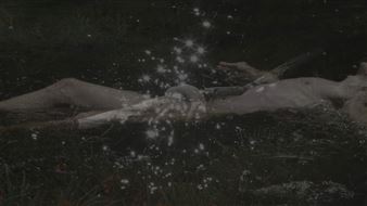 ONLINE: Moving Images: Ophelia Bakowski: Embrace; A River Runs Through - CCP, Centre for Contemporary Photography